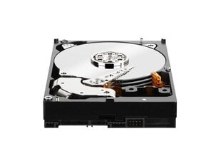 Western Digital WD Black 2TB (WD2003FZEX) цена и информация | Внутренние жёсткие диски (HDD, SSD, Hybrid) | pigu.lt