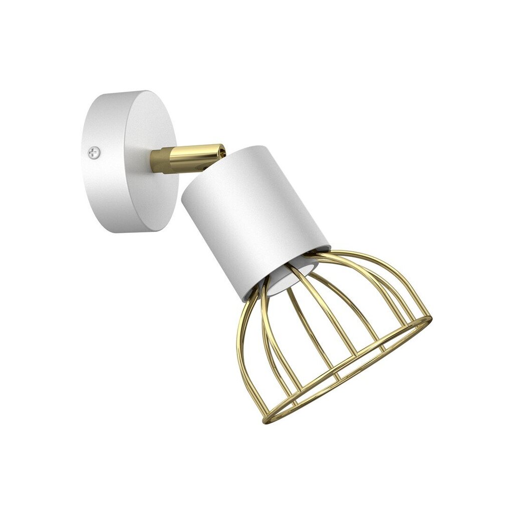 Milagro lubinis šviestuvas DANTE Baltas / Auksinis 1xGU10 kaina ir informacija | Lubiniai šviestuvai | pigu.lt