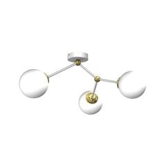 Потолочный светильник Milagro Joy цена и информация | Потолочные светильники | pigu.lt
