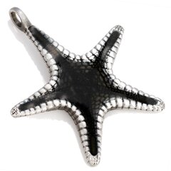 Bico "Hoshi" derva ir metalinis jūrų žvaigždžių pakabukas (B223 juodas) kaina ir informacija | Kaklo papuošalai | pigu.lt