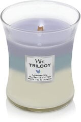 WoodWick ароматическая свеча Trilogy Calming Retreat, 275 г цена и информация | Подсвечники, свечи | pigu.lt