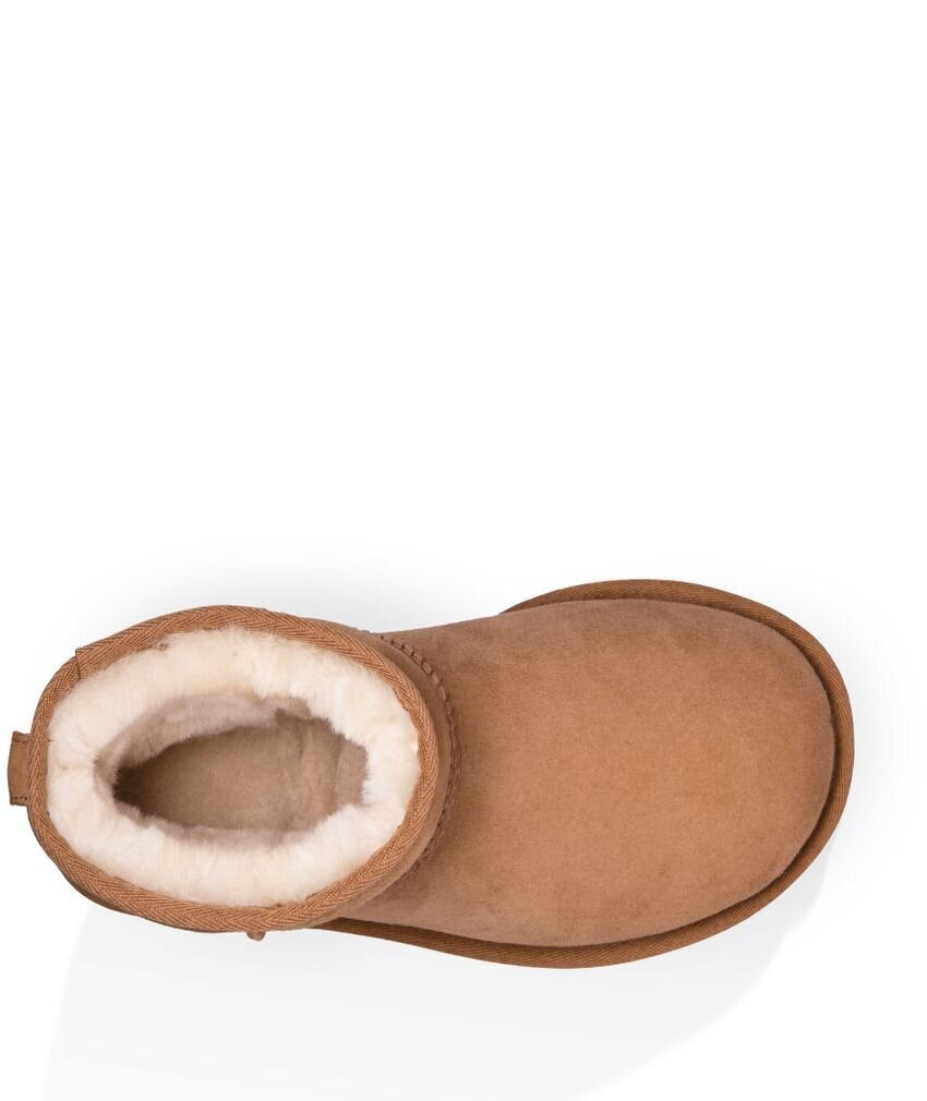 Aulinukai moterims UGG Classic Mini II, rudi цена и информация | Aulinukai, ilgaauliai batai moterims | pigu.lt