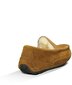 Šlepetės vyrams UGG Ascot, rudos цена и информация | Vyriškos šlepetės, basutės | pigu.lt