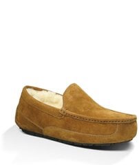 Šlepetės vyrams UGG Ascot, rudos цена и информация | Мужские шлепанцы, босоножки | pigu.lt