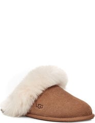 Šlepetės moterims UGG Scuff, rudos цена и информация | Женские тапочки | pigu.lt