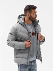 Зимняя мужская куртка Омбре C519, серая цена и информация | Мужские куртки | pigu.lt