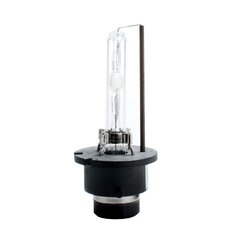 Ksenon автомобильная лампа M-Tech D2S P32d-2 цена и информация | Автомобильные лампочки | pigu.lt