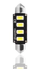 LED lemputė M-Tech LB335W C5W 11x41mm, balta kaina ir informacija | Automobilių lemputės | pigu.lt
