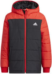 Куртка для мальчика Adidas Yk Padded Jacket, красная цена и информация | Куртка для мальчика | pigu.lt