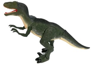 Velociraptor dinozauras - juda, riaumoja kaina ir informacija | Žaislai berniukams | pigu.lt