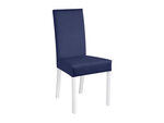 Kėdė BRW Campel, balta/mėlyna