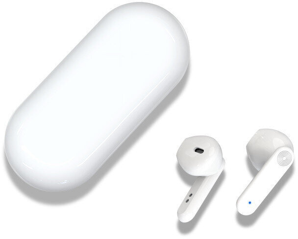 XO wireless earphones X5 TWS BT, white kaina ir informacija | Ausinės | pigu.lt