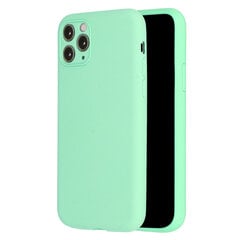 Силиконовый чехол Vennus для iPhone 12 Pro Max, светло-зеленый цена и информация | Чехлы для телефонов | pigu.lt