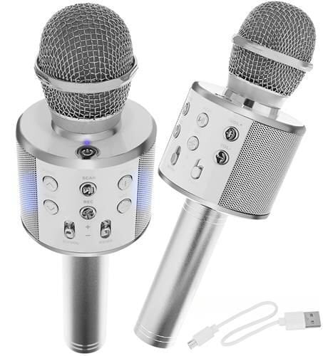 Karaokė mikrofonas - kolonėlė su balso keitimo efektais Sidabrinis kaina ir informacija | Lavinamieji žaislai | pigu.lt