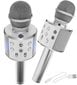 Karaokė mikrofonas - kolonėlė su balso keitimo efektais Sidabrinis kaina ir informacija | Lavinamieji žaislai | pigu.lt