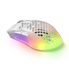 Steelseries 780206, белый цена и информация | Мыши | pigu.lt