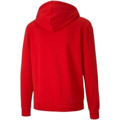 Мужской джемпер Puma TeamGoal 23 Casuals Hooded Jacket M 656708 01, красный цена и информация | Мужские толстовки | pigu.lt