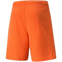 Мужские шорты Puma TeamRise Short Prist M 704942 08, оранжевые цена и информация | Мужские шорты | pigu.lt