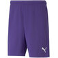 Šortai vyrams Puma TeamRise Short Prist M 704942 10, violetiniai цена и информация | Vyriški šortai | pigu.lt