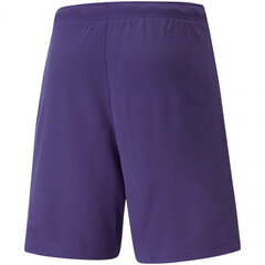 Мужские шорты Puma TeamRise Short Prist M 704942 10, фиолетовые цена и информация | Мужские шорты | pigu.lt