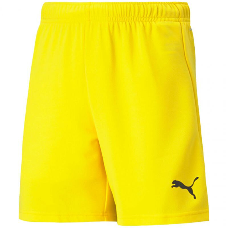 Šortai berniukams Puma TeamRise Short Jr 704943 07, geltoni kaina ir informacija | Šortai berniukams | pigu.lt