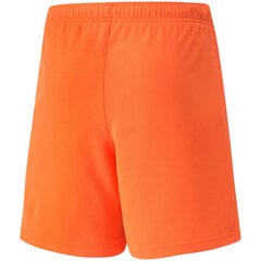 Шорты для мальчиков Puma TeamRise Short Jr 704943 08, оранжевые цена и информация | Шорты для мальчиков | pigu.lt