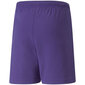 Šortai berniukams Puma TeamRise Short Jr 704943 10, violetiniai kaina ir informacija | Šortai berniukams | pigu.lt