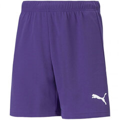 Шорты для мальчиков Puma TeamRise Short Jr 704943 10, фиолетовые цена и информация | Шорты для мальчиков | pigu.lt