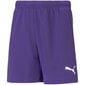 Šortai berniukams Puma TeamRise Short Jr 704943 10, violetiniai цена и информация | Šortai berniukams | pigu.lt