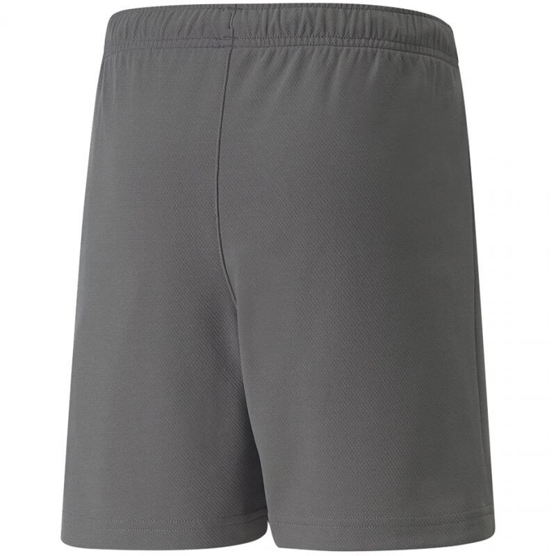 Šortai berniukams Puma TeamRise Short Jr 704943 13, pilki kaina ir informacija | Šortai berniukams | pigu.lt