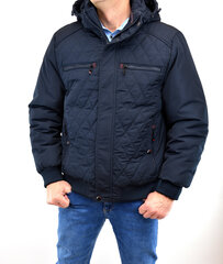 Куртка мужская Skorp 215D big цена и информация | Мужские куртки | pigu.lt