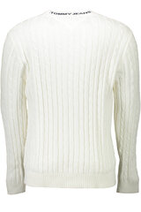 Tommy Hilfiger megztinis vyrams цена и информация | Мужские свитера | pigu.lt