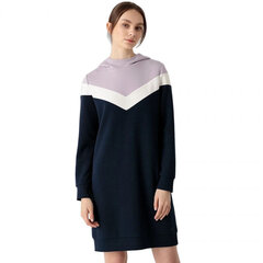 Платье для женщин с капюшоном 4F, разнообразие цветов цена и информация | Платья | pigu.lt