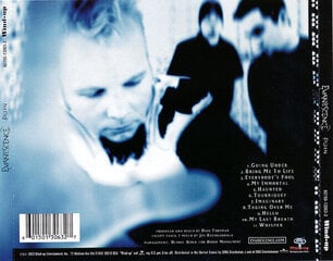 CD диск Evanescence - Fallen, CD, Digital Audio Compact Disc цена и информация | Виниловые пластинки, CD, DVD | pigu.lt