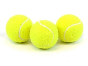 Kamuoliukai teniso 3 vnt. 8579 kaina ir informacija | Lauko teniso prekės | pigu.lt