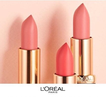 Ilgai išliekantys lūpų dažai L'Oreal Paris Color Riche Matte, 633 Moka chich, 4.8 g цена и информация | Lūpų dažai, blizgiai, balzamai, vazelinai | pigu.lt