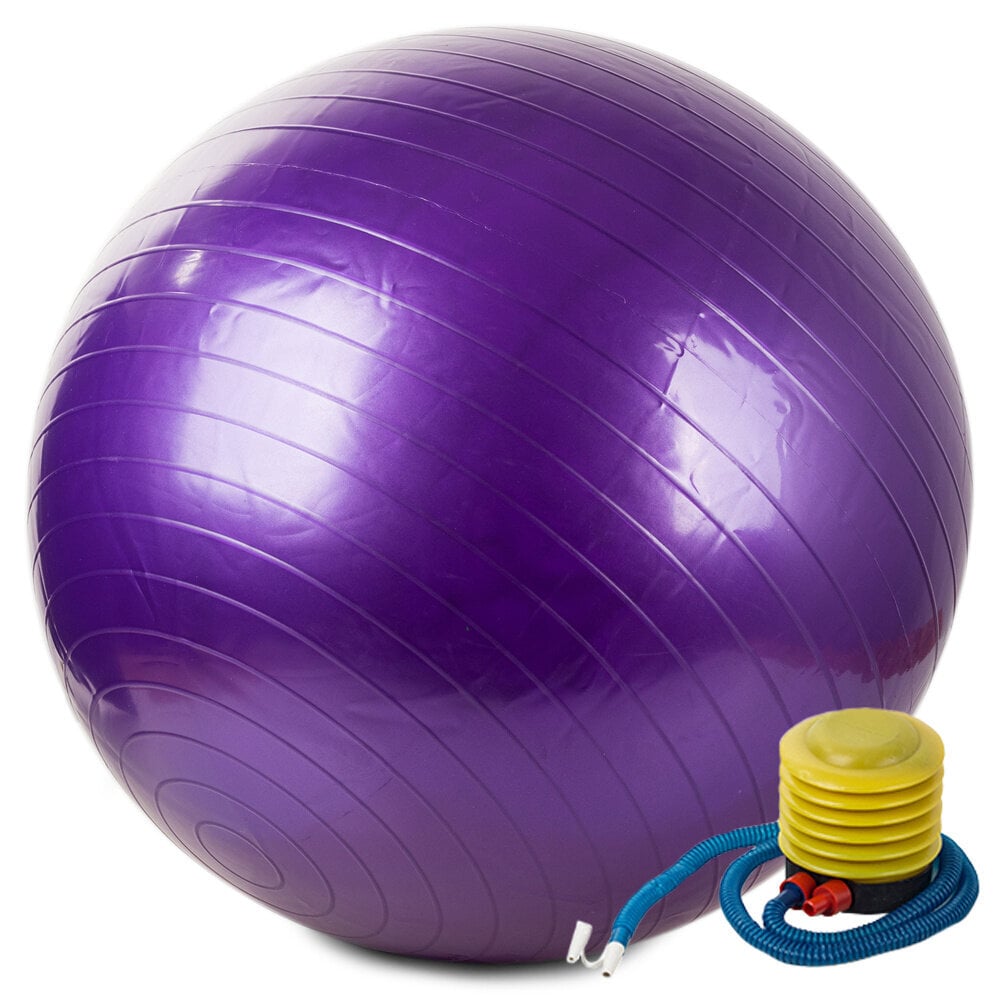 Gimnastikos kamuolys ir pompa kaina ir informacija | Gimnastikos kamuoliai | pigu.lt