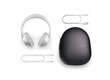 Bose Noise Cancelling 700 Silver 794297-0300 цена и информация | Ausinės | pigu.lt