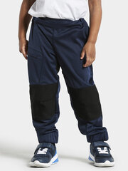 Didriksons детские softshell штаны весна-осень LÖVET, темно-синий 110 907159782 цена и информация | Штаны для мальчиков | pigu.lt