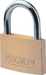 Pakabinama spyna Magnum 40mm Masterlock CAD40 + kaina ir informacija | Spynos | pigu.lt