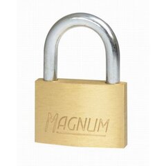 Pakabinama spyna Magnum Masterlock CAD30 + kaina ir informacija | Spynos | pigu.lt