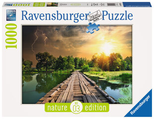 Пазл Ravensburger Мистическое небо цена и информация | Пазлы | pigu.lt