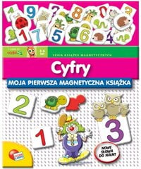 Dėlionė Skaitmenys kaina ir informacija | Dėlionės (puzzle) | pigu.lt