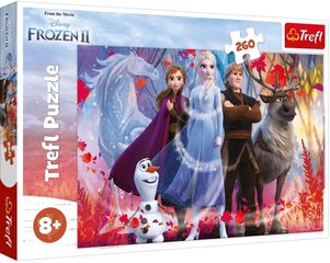 Dėlionė 274 Frozen 2, 260 detalių kaina ir informacija | Dėlionės (puzzle) | pigu.lt