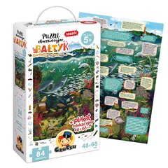 Dėlionė Baltic, 84 dalių kaina ir informacija | Dėlionės (puzzle) | pigu.lt