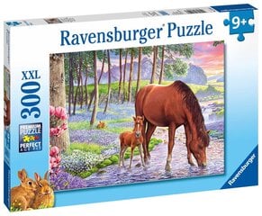 Dėlionė su žirgu Ravensburger XXL, 300 d. kaina ir informacija | Dėlionės (puzzle) | pigu.lt