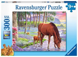 Dėlionė su žirgu Ravensburger XXL, 300 d. kaina ir informacija | Dėlionės (puzzle) | pigu.lt