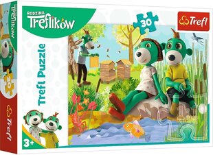 Dėlionė 018 treflikow/ *30vnt kaina ir informacija | Dėlionės (puzzle) | pigu.lt