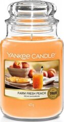 Ароматная свеча Yankee Candle Farm Fresh Peach 623 г цена и информация | Подсвечники, свечи | pigu.lt