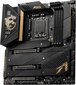 MSI MEG Z690 ACE, E-ATX, LGA 1700, DDR5, WIFI, kaina ir informacija | Pagrindinės plokštės | pigu.lt